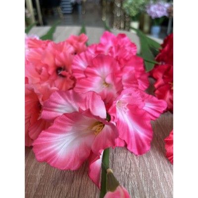 Гладиола, цвят циклама, 90 см