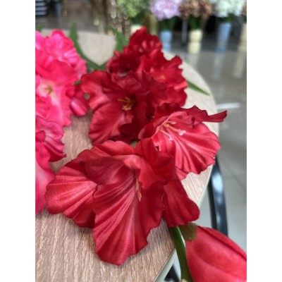 Гладиола, червен цвят, 90 см