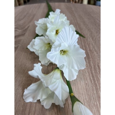 Гладиола, бял цвят, 90 см